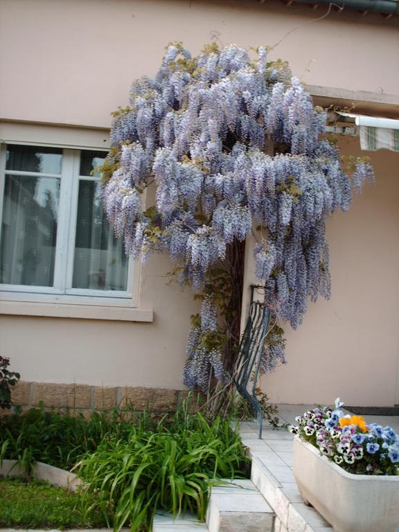 Les Tilleuls B&B Orange  Dış mekan fotoğraf